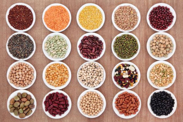 Pulses and Grains Export